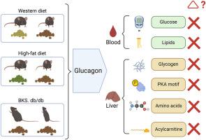 Variable glucagon metabolic actions in diverse mouse models of obesity and type 2 diabetes