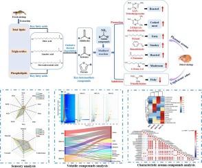 Shrimp lipids improve flavor by regulating characteristic aroma compounds in hot air-dried shrimp
