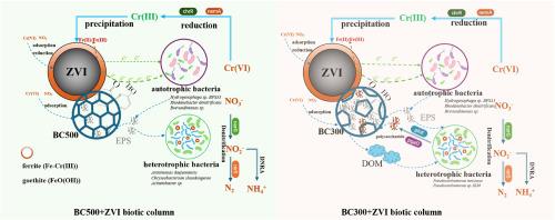 Chromium(VI) and nitrate removal from groundwater using biochar-assisted zero valent iron autotrophic bioreduction: Enhancing electron transfer efficiency and reducing EPS accumulation