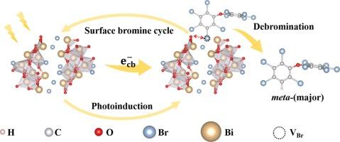 In-situ homologous bromine vacancies for enhanced C-Br bond activation and rapid debromination of decabromodiphenyl ether