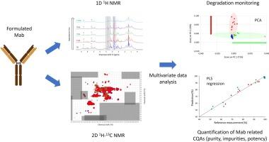 NMR coupled with multivariate data analysis for monitoring the degradation of a formulated therapeutic monoclonal antibody