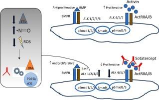 Sotatercept: New drug on the horizon of pulmonary hypertension