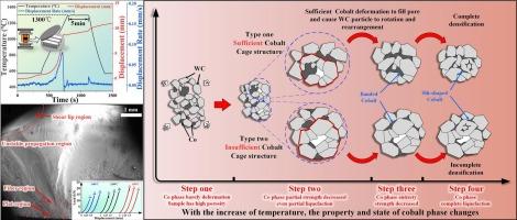 Preparation of WC-Co cemented carbide by spark plasma sintering: Microstructure evolution, mechanical properties and densification mechanism