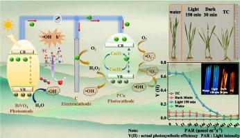 Sustainable dual-cathode photoelectro-Fenton-like system at a wide pH range for rapid degradation of emerging pollutants