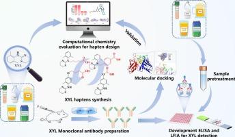 Rational hapten design, antibody preparation, and immunoassay development for rapid screening xylazine in biological samples