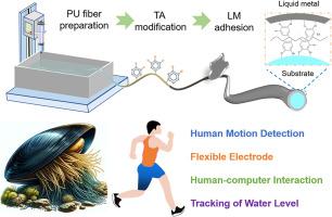 Mussel-inspired wet-spun conductive fibers for stretchable electronics