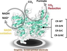 NADH-dependent CO2 reductase on graphite for capacitive electrocatalytic interfacing mediated by solid-binding peptide