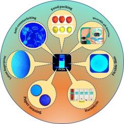 Acoustic cavitation assisted synthesis of PCDs@PVA composite film for UV shielding, intelligent pH detection, information encryption and food packing applications