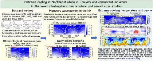 Extreme cooling in Northeast China in January and concurrent maximum in the lower stratospheric temperature and ozone: Case studies