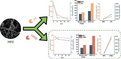 Comparing enzymatic post-treatments by endoglucanase (EG) and lytic polysaccharide monooxygenase (LPMO) on microfibrillated cellulose (MFC) to enhance cellulose film fabrication