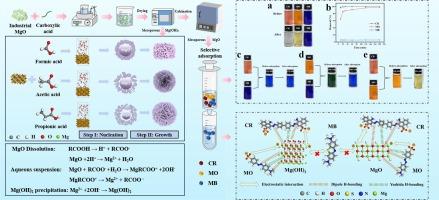 Carboxylic acid-assisted hydration for the preparation of mesoporous magnesium hydroxide/magnesium oxide with ultra-high adsorption performance and selective adsorption: Experiments and DFT investigations