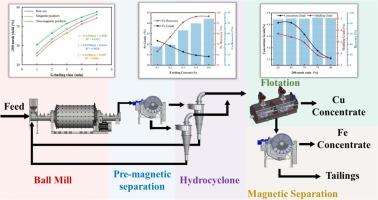 Application of pre-magnetic separation to address grinding classification density effects and enhance iron-copper separation in deep polymetallic magnetite ores