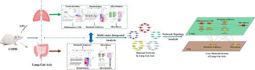 Investigating disturbances of the core material system in the lung-gut axis of COPD based on the transcriptomics-metabolomics-microbiomics integration strategy