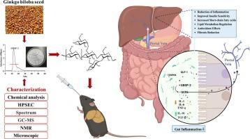 Structural characterization of a α-d-glucan from Ginkgo biloba seeds and its protective effects on non-alcoholic fatty liver disease in mice