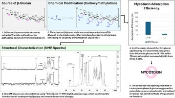 Carboxymethylation of β-Glucan from Pythium insidiosum: Structural characterization and preliminary adsorption evaluation of DON and T2 toxin