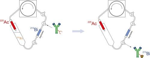 225Aс/213Bi generator for direct synthesis of 213Bi-labeled bioconjugates