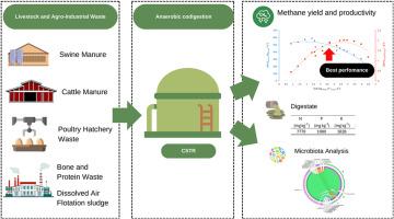 Anaerobic codigestion of livestock manure and agro-industrial waste in a CSTR reactor: Operational aspects, digestate characteristics, and microbial community dynamics