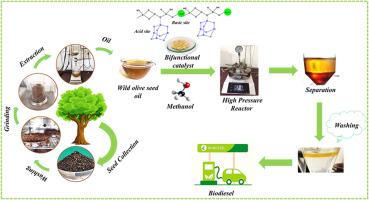 One-pot conversion of non-edible oil into sustainable biodiesel using novel bifunctional heterogeneous catalyst