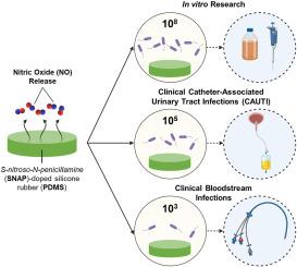 Investigation of the susceptibility of clinical infection loads to nitric oxide antibacterial treatment