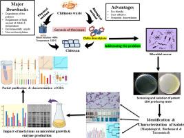 Characterization of extracellular chitin deacetylase from Aneurinibacillus aneurinilyticus isolated from marine crustacean shell