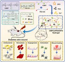 Antibacterial betaine modified chitosan-based hydrogel with angiogenic property for photothermal enhanced diabetic wound repairing