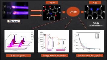 Structural and photophysical investigations of thermally stable Dy (III) ion complexes incorporated with β-ketocarboxylate and ancillary moieties