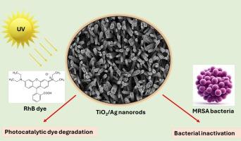 Electroless Ag nanoparticle deposition on TiO2 nanorod arrays, enhancing photocatalytic and antibacterial properties