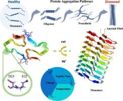 Exploring the effect of temperature and peptide chain number on the stability of Aβ42 mutants through multidimensional analysis