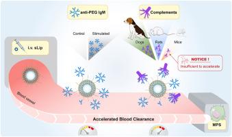 Exemplifying interspecies variation of liposome in vivo fate by the effects of anti-PEG antibodies