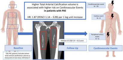 Arterial calcification volume is associated with a higher risk of cardiovascular events in pseudoxanthoma elasticum