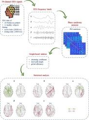 Phase synchronization analysis of EEG functional connectivity in Parkinson’s disease