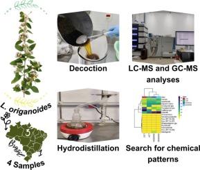 Qualitative chemical characterization of salva-de-marajó (Lippia origanoides, Verbenaceae) preparations