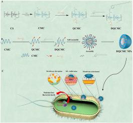 Preparation of N-(2-hydroxypropyltrimonium chloride)-O-dodecylylpyridine chitosan quaternary ammonium salt and its antibacterial activities