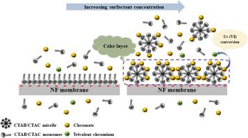 Micelle-enhanced nanofiltration process for chromium-containing wastewater treatment: Performance, Cr(VI) redox and mechanism