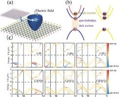 Spin-mixing in Janus Cd2XY (X/Y = S, Se and Te) induced by Rashba SOC effect