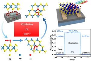 High-performance type II WSOx/WS2-based heterojunction photodetectors