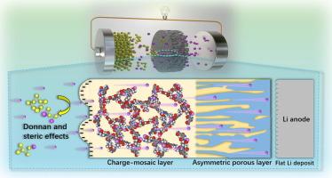 Novel electriferous charge-mosaic S(TMC@Lys-Li) separator towards efficient Li+ fast-transfer for high-energy density and long-duration lithium-sulfur batteries