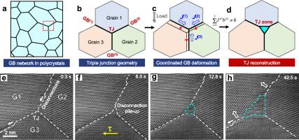 Stress-driven triple junction reconstruction facilitates cooperative grain boundary deformation