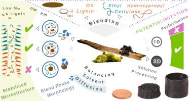 Limitation and potential of lignin-assisted stabilisation of oriented liquid crystalline cellulosic mesophase