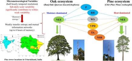 Micrometeorological drivers affecting the variability of CO2 uptake in the Himalayan Oak and Pine dominated ecosystems: An assessment of causal relationships