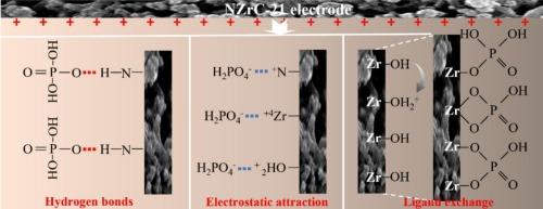 Facile constructing ZrO2 nanoparticles equipped with high conductivity carbon networks as pseudocapacitive anodes for removing phosphorus