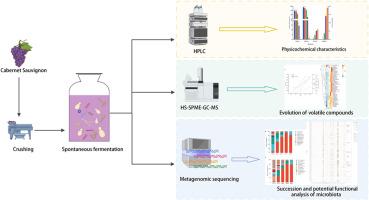 Elucidating the relationship between microbial communities and the formation of flavour metabolites in Cabernet Sauvignon wine through metagenomic analysis