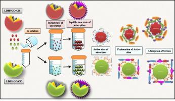 Sustainable selenium ions adsorption of cyclodextrin and cellulose functionalized layered double hydroxide/reduced graphene oxide nanocomposites