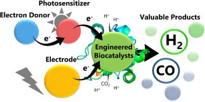 Engineered metallobiocatalysts for energy–relevant reactions