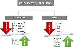 Switching off cancer – An overview of G-quadruplex and i-motif functional role in oncogene expression