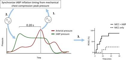 Intra-aortic balloon pump synchronized with chest compressions improves outcome during cardiopulmonary resuscitation in experimental cardiac arrest