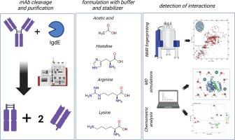 A multifaceted approach to understanding protein-buffer interactions in biopharmaceuticals