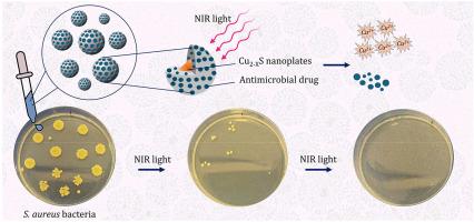 Mesoporous silica nanostructures embedding NIR active plasmonic nanoparticles: Harnessing antimicrobial agents delivery system for photo-assisted eradicating Gram-positive bacteria