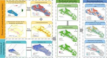 Mapping transboundary ecological networks for conservation in the Altai Mountains