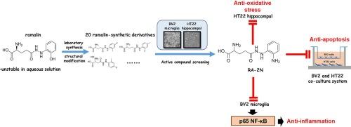 The neuroprotective and anti-neuroinflammatory effects of ramalin synthetic derivatives in BV2 and HT22 cells